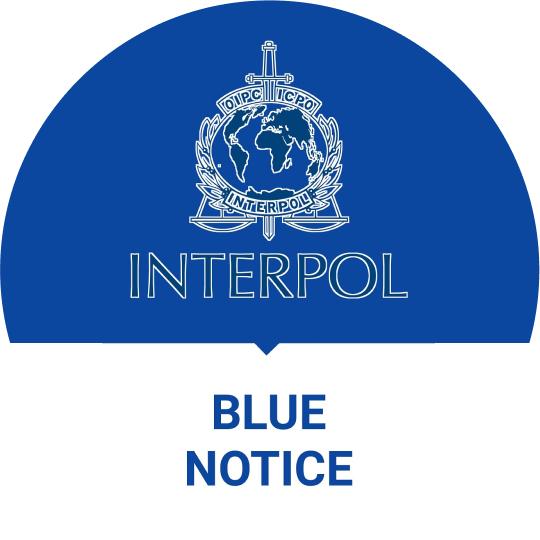 Interpol Blue Notice meaning